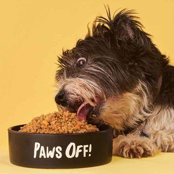 Tuggs Turkey Triumph Complete Frozen Fresh Dog Food 700g