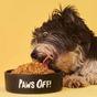 Tuggs Turkey Triumph Complete Frozen Fresh Dog Food 700g