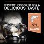 PRO PLAN Medium & Large Senior 7+ Sensitive Skin Salmon Dry Dog Food 14kg