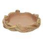 ProRep Root Dish Reptile Vivarium Accessory