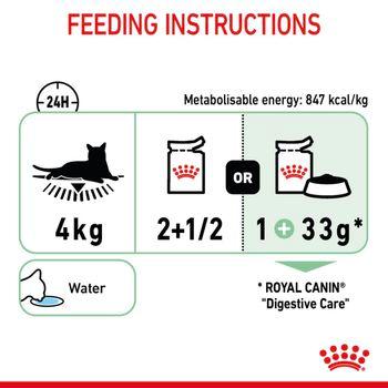 Royal Canin Digestive Care Wet Cat Food in Gravy 48x85g