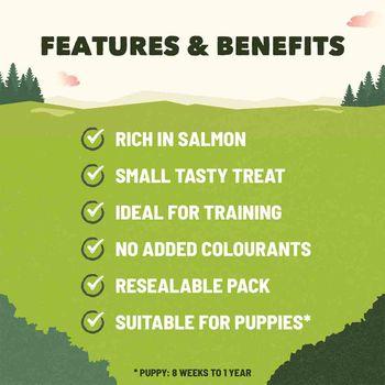 Adventuros Salmon Training Dog Treats 115g