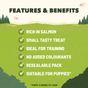 Adventuros Salmon Training Dog Treats 115g