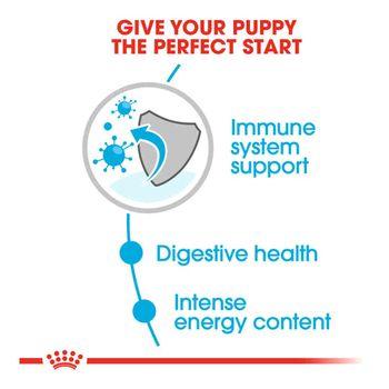 Royal Canin Wet Dog Food Mini Puppy in Gravy 85g