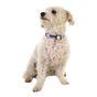 Doodlebone Trendy Tails Padded Dog Collar Pink 1-2