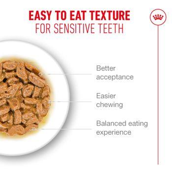 Royal Canin FHN Ageing 11+ Wet Cat Food in Gravy 12x85g