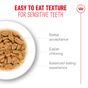 Royal Canin FHN Ageing 11+ Wet Cat Food in Gravy 12x85g