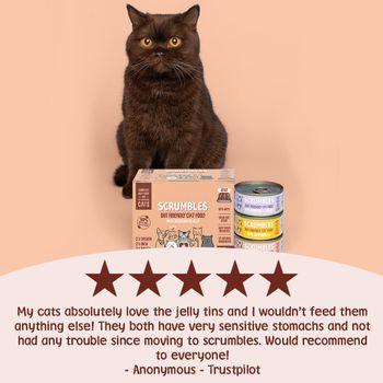 Scrumbles Grain Free Wet Cat Food in Jelly Meat Selection 6x80g