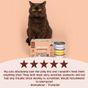 Scrumbles Grain Free Wet Cat Food in Jelly Meat Selection 6x80g