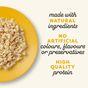 Applaws Natural Adult Wet Cat Food Tuna Fillet in Broth Tins 24x70g