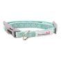 Doodlebone Dinky Dog Collar Mint 3-6