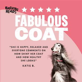 Barking Heads All Hounder Hair Necessities Salmon Dry Dog Food, 2kg