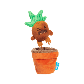 Bark Mandrake Harry Potter Plush Dog Toy