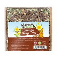 Natures Grub Natural Nibbles Dandelion Forage Tray