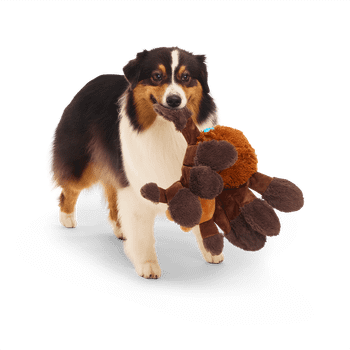 Bark Aragog Harry Potter Dog Toy