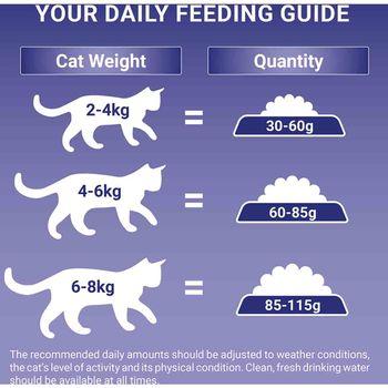 Purina One Bifensis Salmon Dry Cat Food 7.5kg