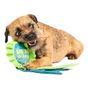 Bark Crufts Best In Show Dog Toy