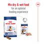 Royal Canin Dry Dog Food Maxi Ageing 8+ 15kg