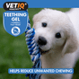 VetIQ Puppy Teething Gel