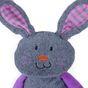 Rosewood Ruby Rabbit Mister Twister Dog Toy