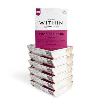Within Grain Free Complete Adult Dog Food Salmon 395g