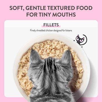 Schesir Baby Complete Wet Food for Kittens Chicken Salmon in Fillets 70g