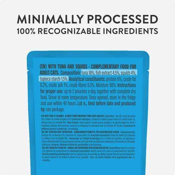 Schesir Soup Complements Wet Cat Food Tuna with Squid 40g