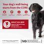 Wellness CORE Wet Dog Food 95% Single Protein Beef with Broccoli Recipe 400g