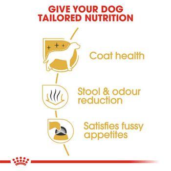 Royal Canin Maltese 1.5kg