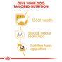 Royal Canin Maltese 1.5kg