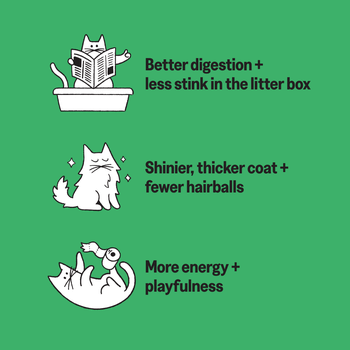 KatKin QUACK Fresh Cat and Kitten Food (Duck + Chicken) 1x80g