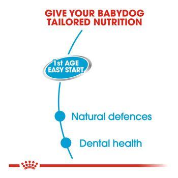 Royal Canin Wet Dog Food Starter Mousse 195g