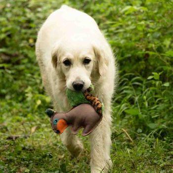 Salina Squirrel Plush Dog Toy