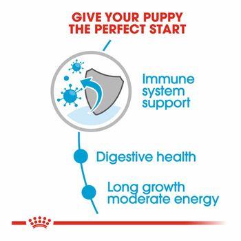 Royal Canin Wet Dog Food Maxi Puppy in Gravy 140g