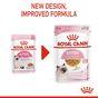 Royal Canin Kitten Pouch Multipack in Jelly 48x85g