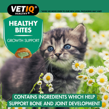 VetIQ Growth Support Treats Cat Treats