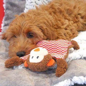 Rosewood Little Nippers Cheeky Chimp Dog Toy