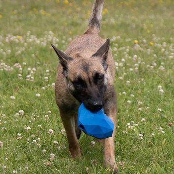 Rosewood Battersea Rubber Heart Treat Dog Toy