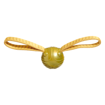 Bark The Golden Snitch Harry Potter Dog Toy