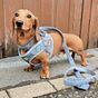 Doodlebone Dinky Dog Lead Blue 15mm