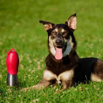 Metal dog water bottle best sale