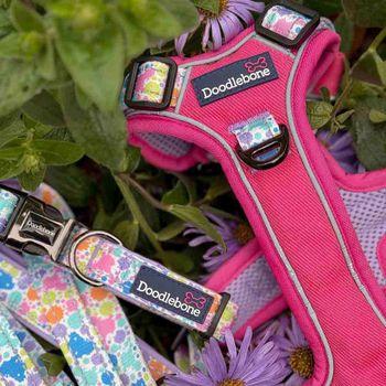 Doodlebone Trendy Tails Padded Dog Collar Pink 6-11