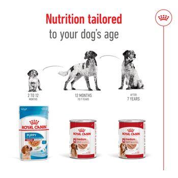 Royal Canin Medium Adult Wet Dog Food Cans In Loaf 410g