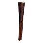 JR Pet Products Bulls Pizzle Natural Dog Treat
