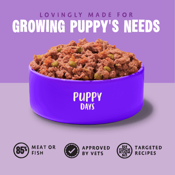 Barking Heads Puppy Days Wet Puppy Food 300g