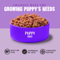 Barking Heads Puppy Days Wet Puppy Food 300g