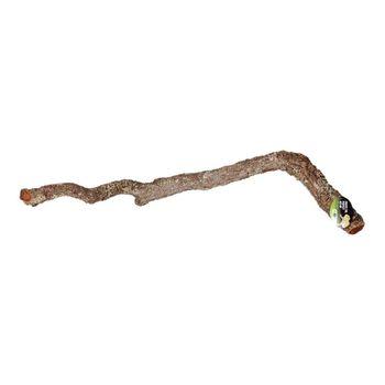 ProRep Cork Oak Branch Reptile Vivarium Accessory