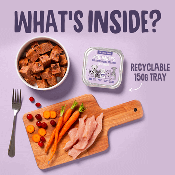 Scrumbles Grain Free Wet Dog Food Turkey 150g