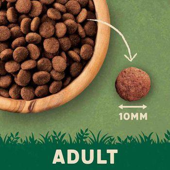 Harringtons Chicken Dry Cat Food, 2kg