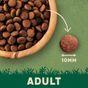 Harringtons Chicken Dry Cat Food, 2kg